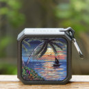 Search for palm trees speakers sunset