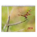Search for dragonfly calendars Photography
