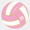 Search for pink volleyball crafts party Coach