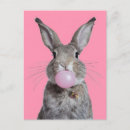 Search for beautiful postcards Cute