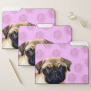 Search for dog folders School