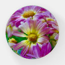 Search for daisies paperweights Floral