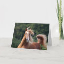 Search for headshot postcards Arab