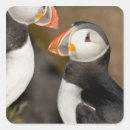 Search for puffin crafts party Fratercula arctica