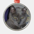 Search for russian blue cat ornaments Feline