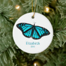 Search for blue butterfly ornaments Insect