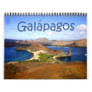 Search for tortoise calendars Iguana