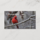 Search for cardinal bird business cards Nature