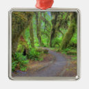 Search for olympic national park ornaments Pacific northwest