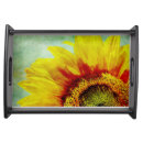 Search for sunflower seeds gifts Bright