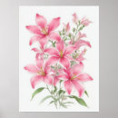 Search for stargazer lily decor Lilium