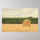 Search for outdoor photo art agriculture