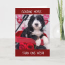 Search for bernedoodle cards Friend