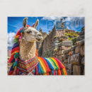 Search for machu picchu postcards Llama
