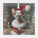 Search for sphynx cat ornaments Pet