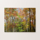 Search for fall foliage puzzles Trees