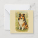 Search for sheltie christmas cards Collie