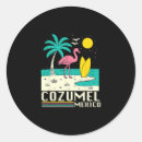 Search for cozumel mexico stickers Cruise