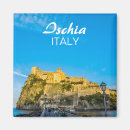 Search for souvenir magnets Italy