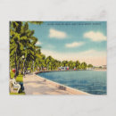 Search for palm beach postcards Vintage