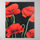 Search for red poppies posters Plants