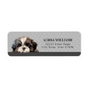 Search for shih tzu return address labels Cute