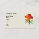 Search for poppy business cards Colorful