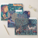 Search for animal folders Fox