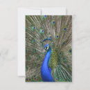 Search for peacock thank you cards Feather
