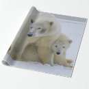 Search for polar bear wrapping paper Cub