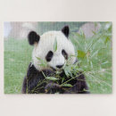 Search for panda bear puzzles Kawaii