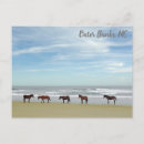 Search for outer banks postcards Beach
