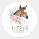 Search for horse stickers Birthday