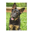 Search for german shepherd dog photo art cute