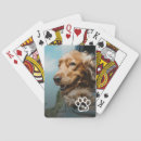 Search for pet gifts For pets