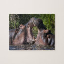 Search for hippopotamus puzzles Animal