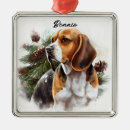 Search for beagle ornaments Watercolor