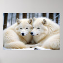 Search for black white wolf posters Forest