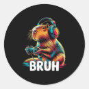 Search for capybara stickers Cool