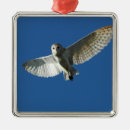 Search for florida key west ornaments West palm beach