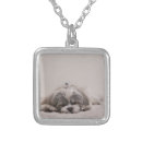 Search for dog necklaces Shih tzu