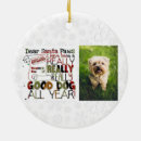 Search for feliz naughty dog ornaments Cute