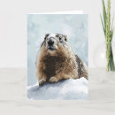 Search for groundhog day cards Animal