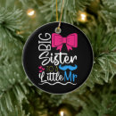 Search for funny sister ornaments Siblings