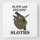 Search for sloth clocks Wildlife