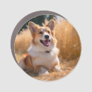 Search for car magnets Keepsake