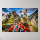 Search for colorful llama art posters Peru