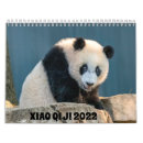 Search for panda bear calendars Cute