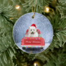 Search for westie ornaments Snow