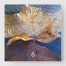 Search for frozen clocks Nature